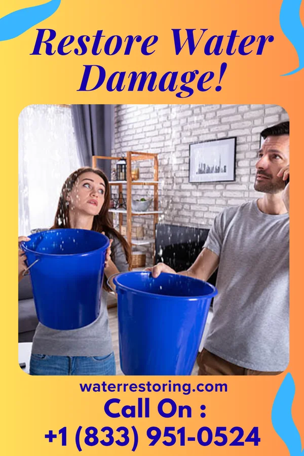 water restoration Global Restoration Solutions LLC Springfield