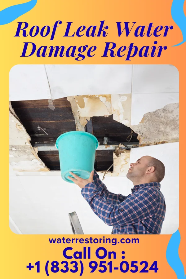 Roof Leak Water Damage Repair in Springfield, NE