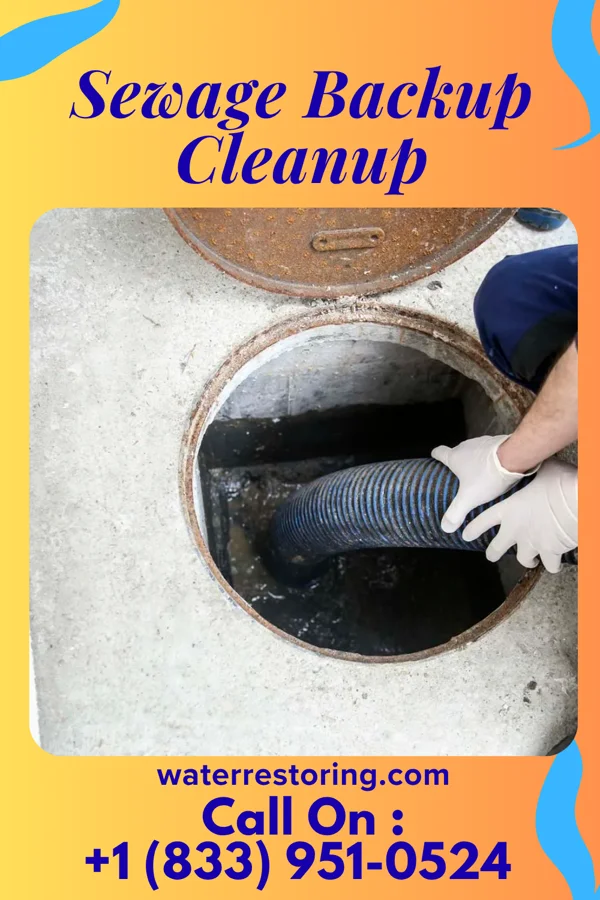 Sewage Backup Cleanup in Springfield, NE