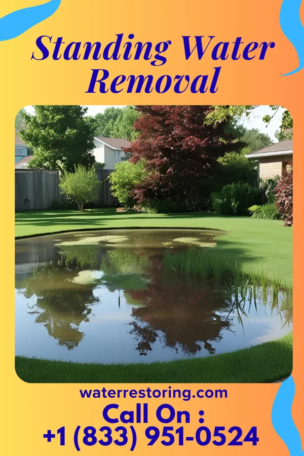 Standing Water Removal in Springfield, NE